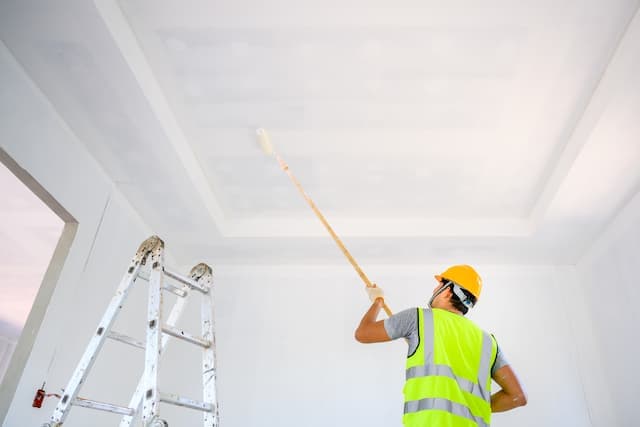Peinture & Plafonds